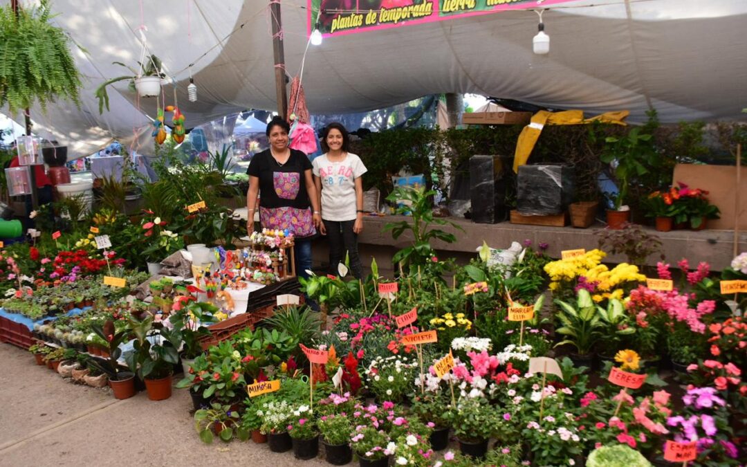 FESTIVAL DE LAS FLORES 2024 EN SOLEDAD CULMINA CON ÉXITO Y EXCELENTE RESPUESTA CIUDADANA