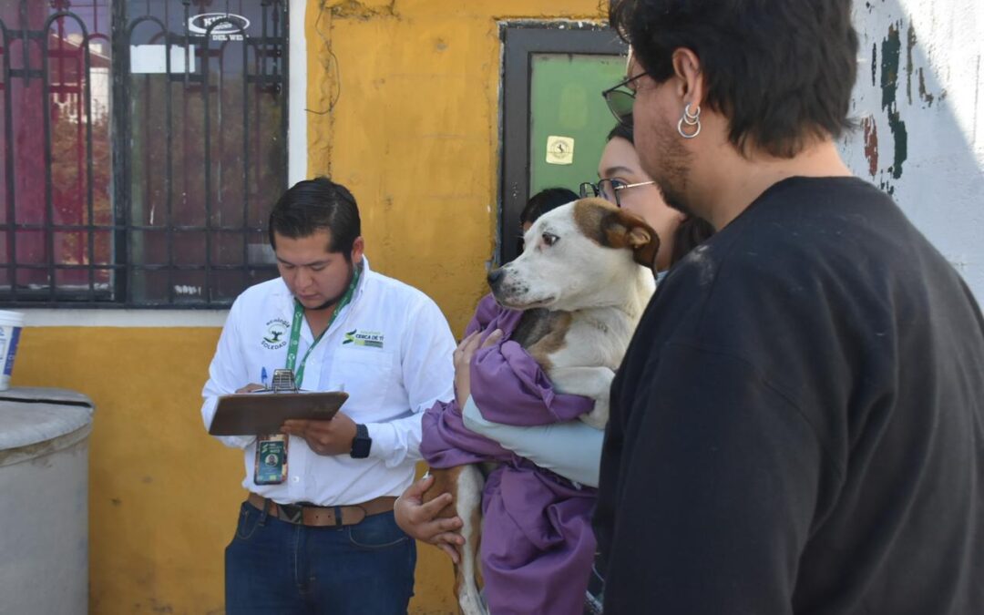 AYUNTAMIENTO DE SOLEDAD FOMENTA EL BIENESTAR ANIMAL A TRAVÉS DE LA ADOPCIÓN RESPONSABLE