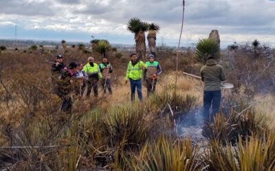 CONTROLADO, INCENDIO FORESTAL EN CÁNDIDO NAVARRO: AYUNTAMIENTO DE SOLEDAD