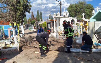 VILLA DE POZOS REALIZA PODA PREVENTIVA EN PANTEÓN MUNICIPAL