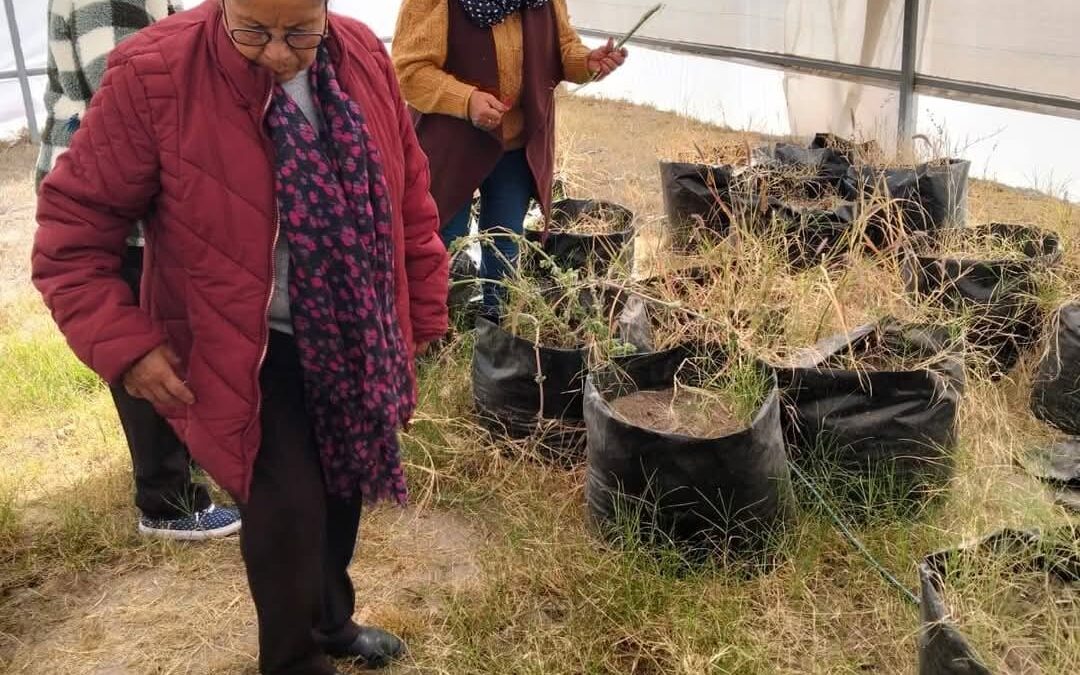 VILLA DE POZOS REANUDA ACTIVIDADES DIRIGIDAS A LA TERCERA EDAD