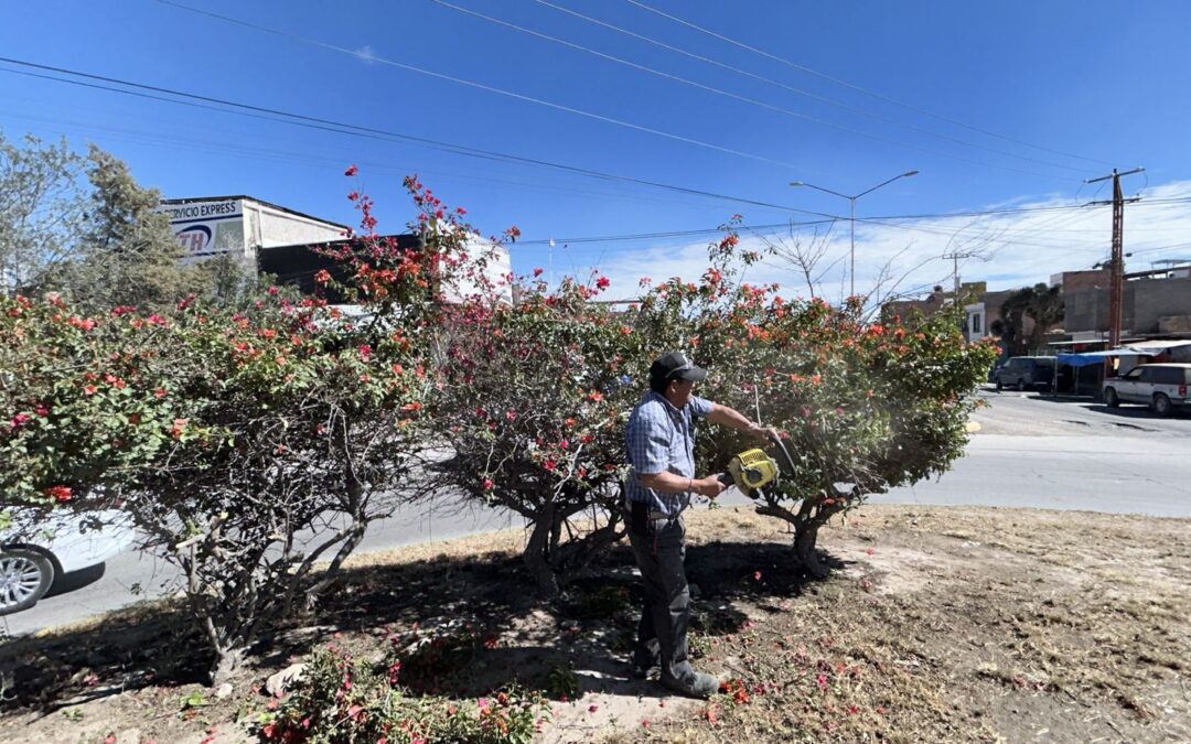 VILLA DE POZOS FORTALECE ACCIONES PARA MEJORAR LOS ESPACIOS PÚBLICOS