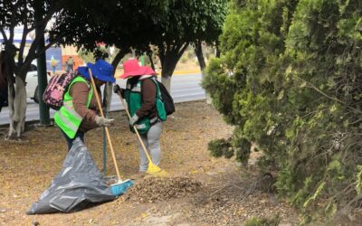 MUNICIPIO DE SOLEDAD REGRESA CON LABORES DE LIMPIEZA Y MEJORA URBANA EN LA CARR. A MATEHUALA