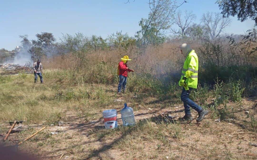 AUTORIDADES DE LOS TRES NIVELES TRABAJAN EN INCENDIO EN CERRITOS•El incendio se originó este viernes y se trabaja desde muy temprano en combatirlo.