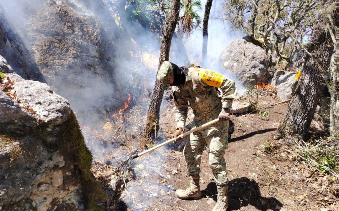 Ejército Mexicano despliega elementos en la huasteca potosina para aplicar el Plan DN-III-E en incendios forestales.